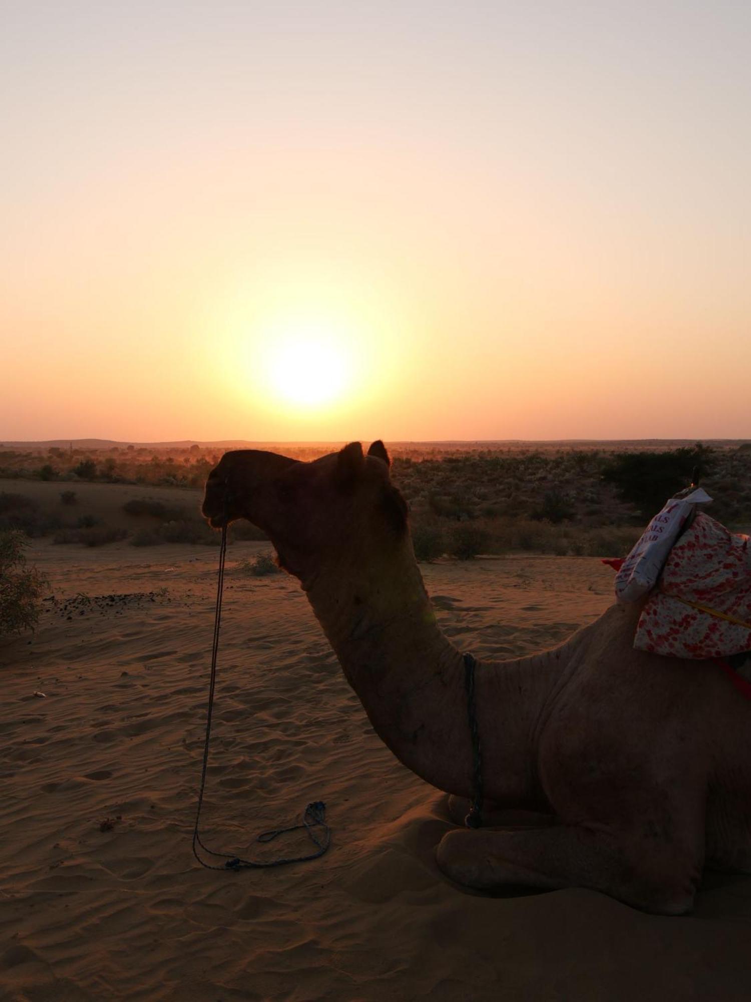 Ideal Guest House Jaisalmer Eksteriør bilde